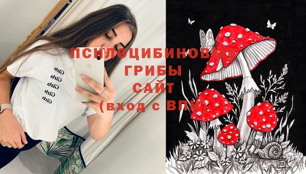 шишки Россошь