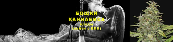 ECSTASY Сафоново