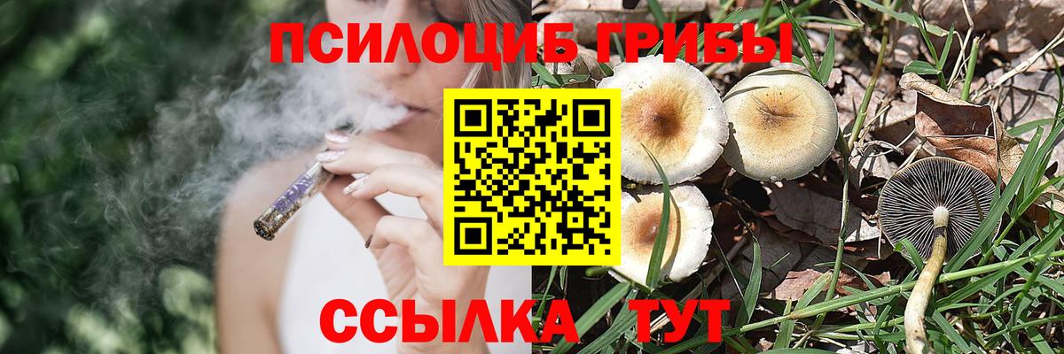 Галлюциногенные грибы прущие грибы  Псилоцибиновые грибы GOLDEN TEACHER  Кувандык  купить наркоту  Вход с VPN 